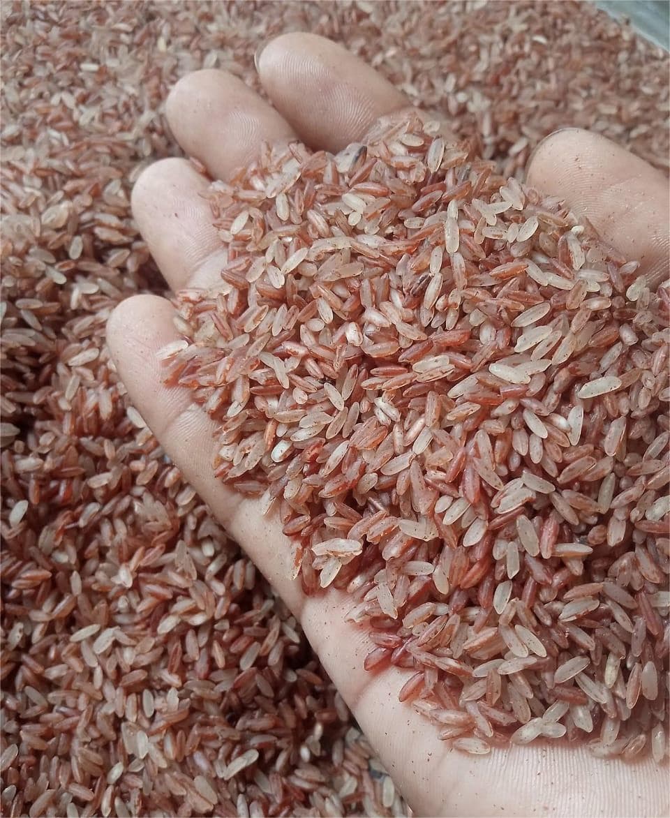 Natural Brown Rice (Ganjia) Half Fiber -10 kg (গাঞ্জিয়া লাল চাল হাফ ফাইবার)