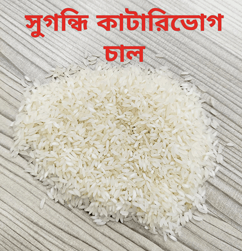 Natural Sugondhi Katarivog Rice (সুগন্ধি কাটারিভোগ চাল)-25 kg OSCO Brand